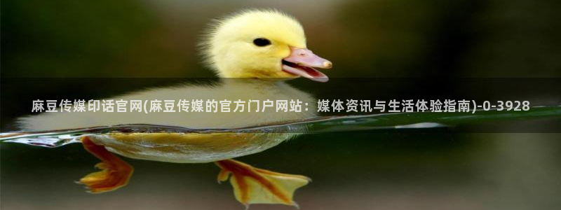 麻豆视频在线看