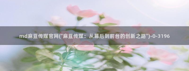 麻豆SEO关键词