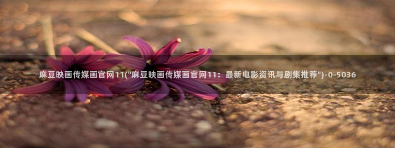 麻豆片单推荐