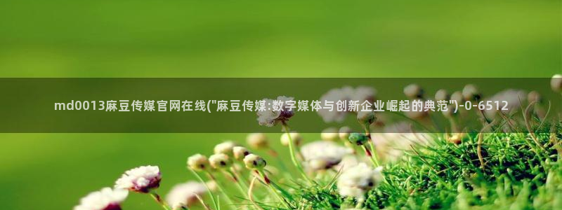 麻豆视频网