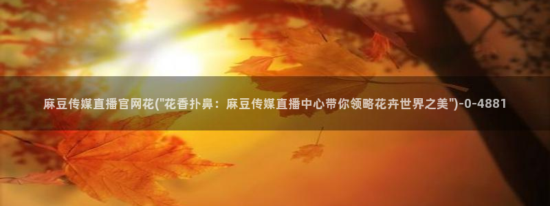 麻豆视频推荐内容