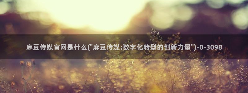 麻豆视频花絮