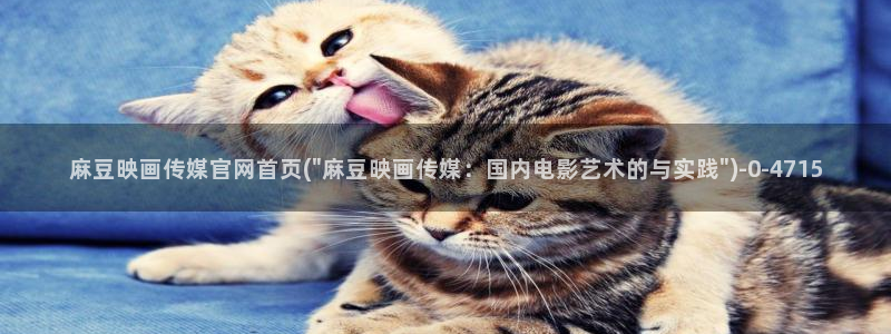 麻豆视频收藏