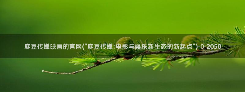 麻豆视频详情文案