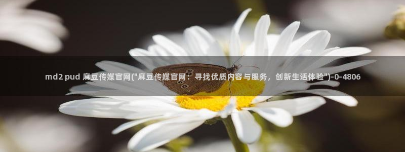 麻豆关键词库
