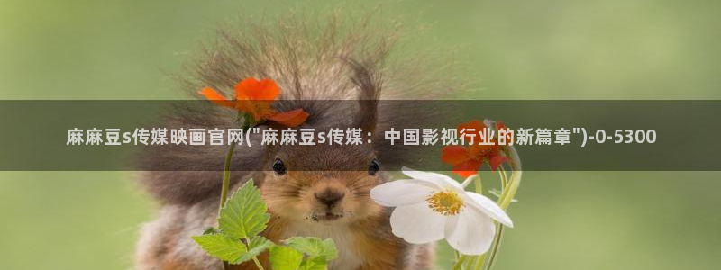 麻豆视频合集：麻麻豆s传媒映画官网(\