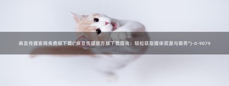 麻豆视频分类：麻豆传媒官网免费版下载(\