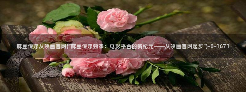麻豆视频资料文案