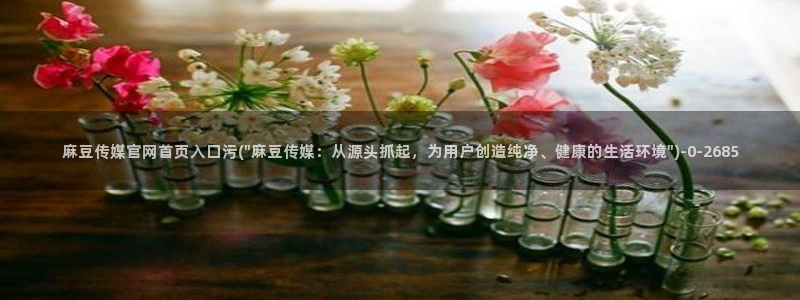 麻豆精选片单
