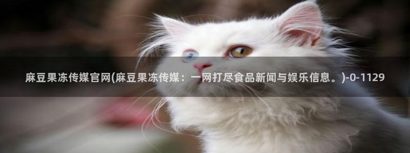 麻豆最新视频