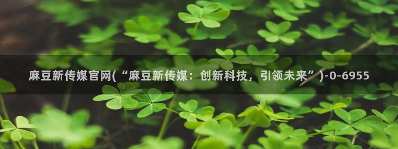 麻豆内容模板
