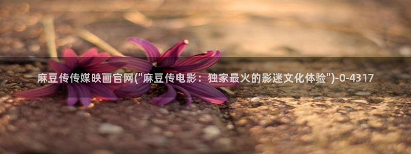 麻豆视频