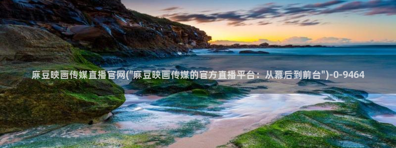 麻豆视频资讯文案