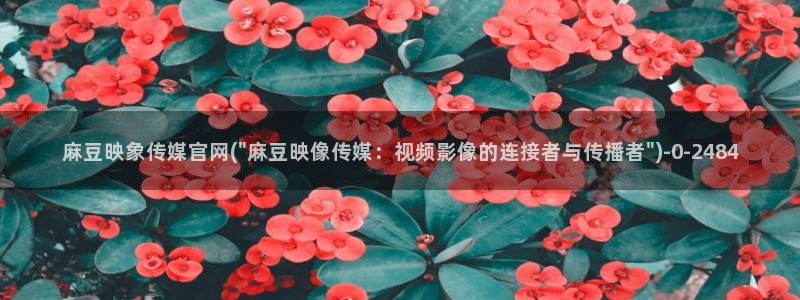 麻豆视频排名词