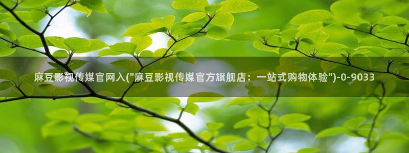 麻豆视频可读内容