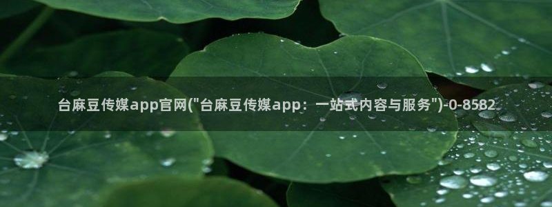 麻豆影视站
