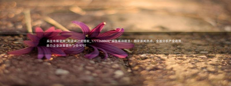 麻豆视频分类