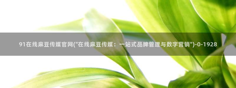 麻豆视频标签