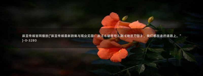 麻豆视频文章标题