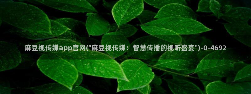 麻豆短片