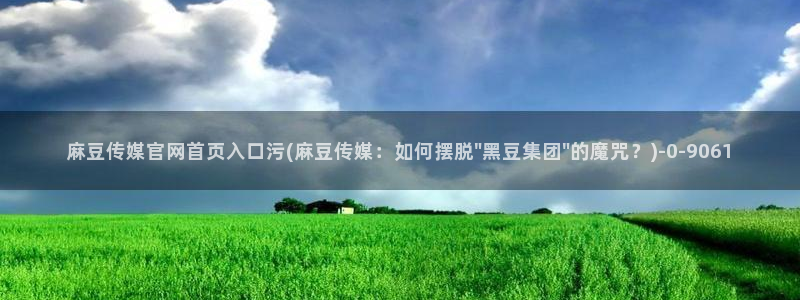麻豆专题标题