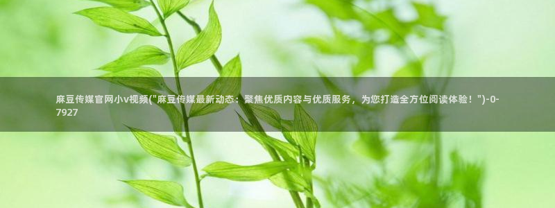 麻豆视频页面标题