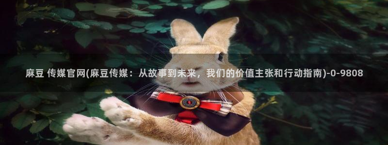 麻豆视频站