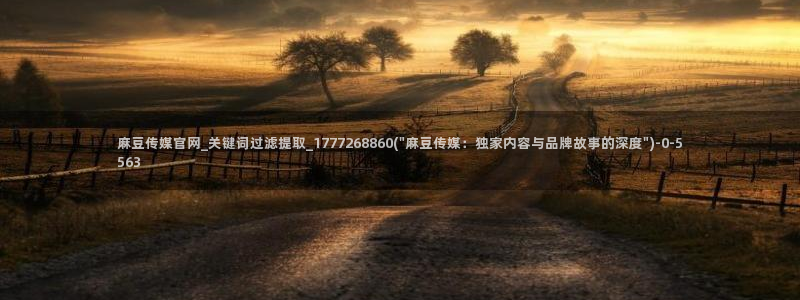 麻豆在线视频