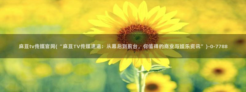 麻豆传媒合集