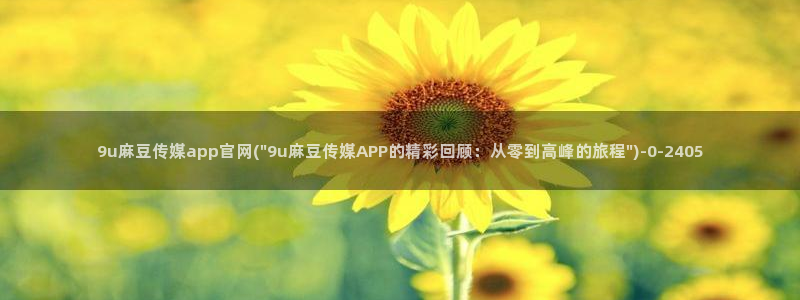 麻豆资料页