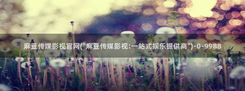 麻豆视频页面标题